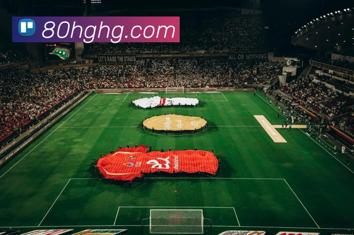奖项证书